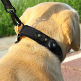 Leather Cat Collar with GPS IllumniWave