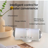 Motion Sensor LED Wall Light  