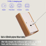 Rechargeable Motion Sensor 