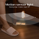 USB Rechargeable Motion